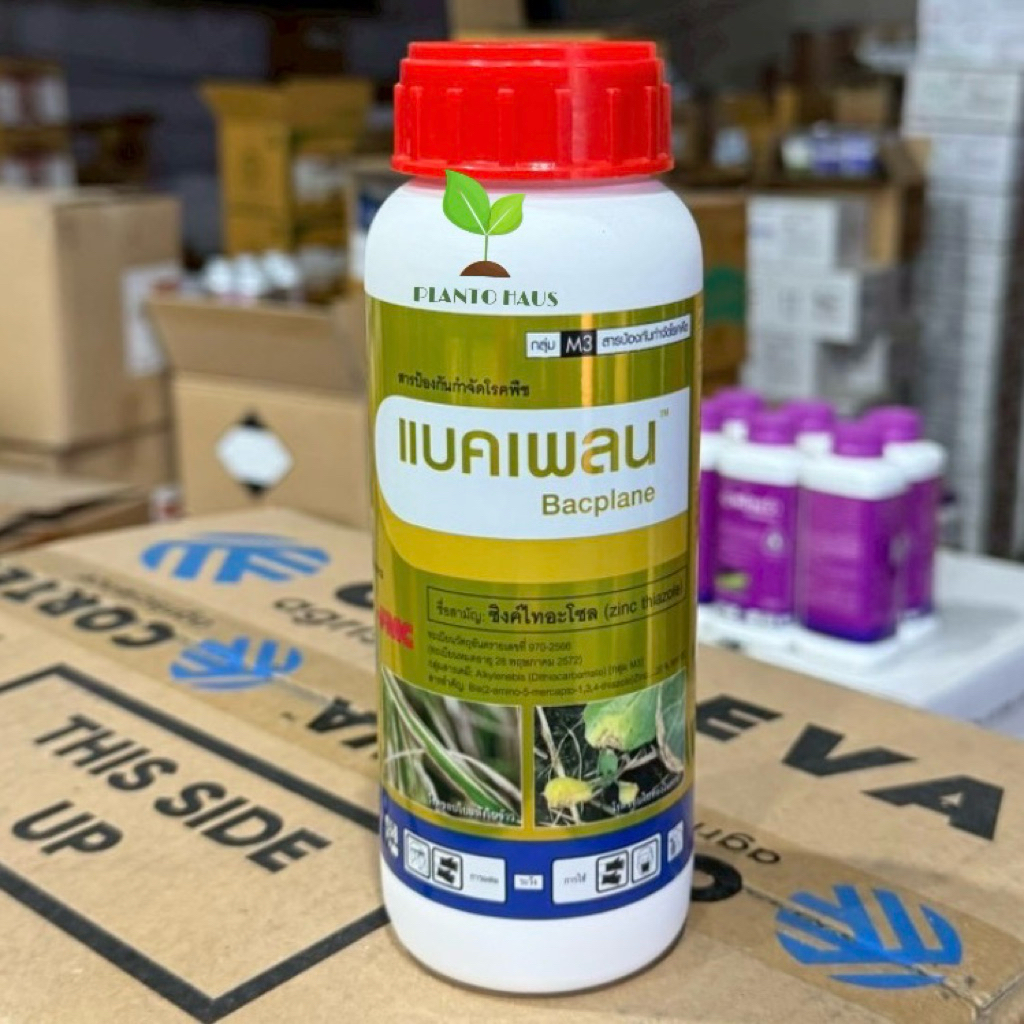 แบคเพลน FMC ซิงค์ไทอะโซล ป้องกัน กำจัด แบคทีเรีย ขอบใบแห้ง 500ซีซี
