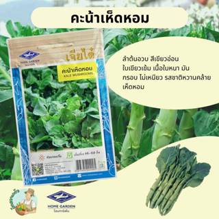 คะน้าเห็ดหอม CT/OP-012 ผักซอง เจียไต๋ คะน้า เมล็ดพันธุ์ผัก เ…