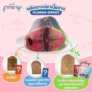 Pramy พรามี่ ยกโหล 12ซอง สุดคุ้ม อาหารเปียกแมว อาหารเปียกลูกแมว แมวสูงวัย มูส เกรวี่ เจลลี่ 70g
