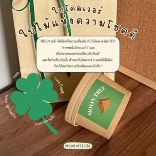 📍มีราคาส่ง📍 MOON TREE ชุดพร้อมปลูกโคลเวอร์ (Clover) ร้าน [Moon] ขนาด 8 oz.