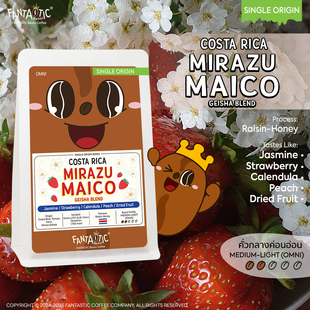 เมล็ดกาแฟ Costa Rica Mirazu Maico Geisha Blend (คั่วกลางอ่อน) FANTASTIC Beans Coffee