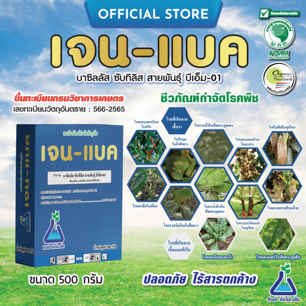เจน-แบค ขนาด 1 กก. A บาซิลลัส  ซับทิลิส สายพันธุ์ BM-01 ทีเอบี Bacillus subtilis  เชื้อบีเอส bs
