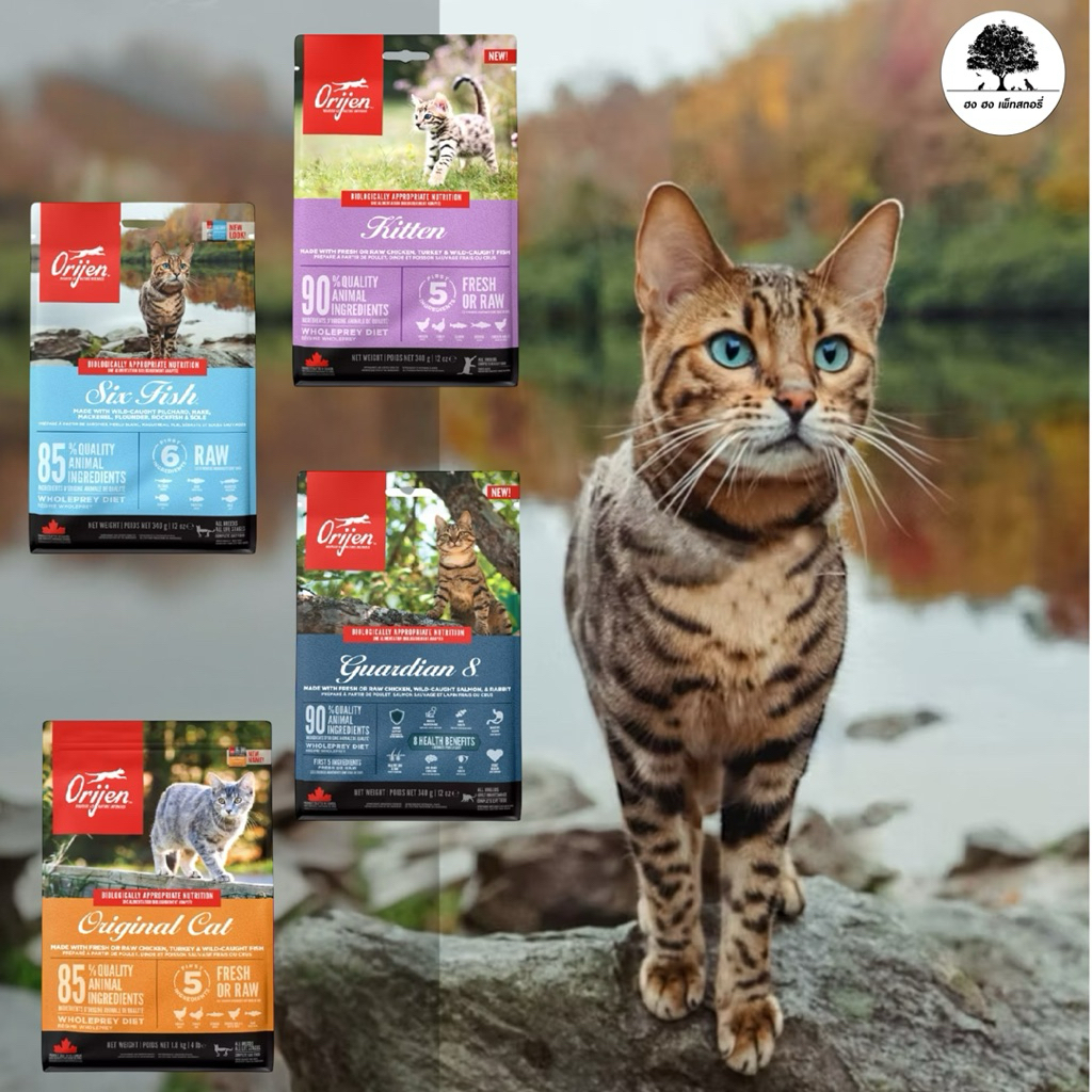 ORIJEN CAT โอริเจน แมว