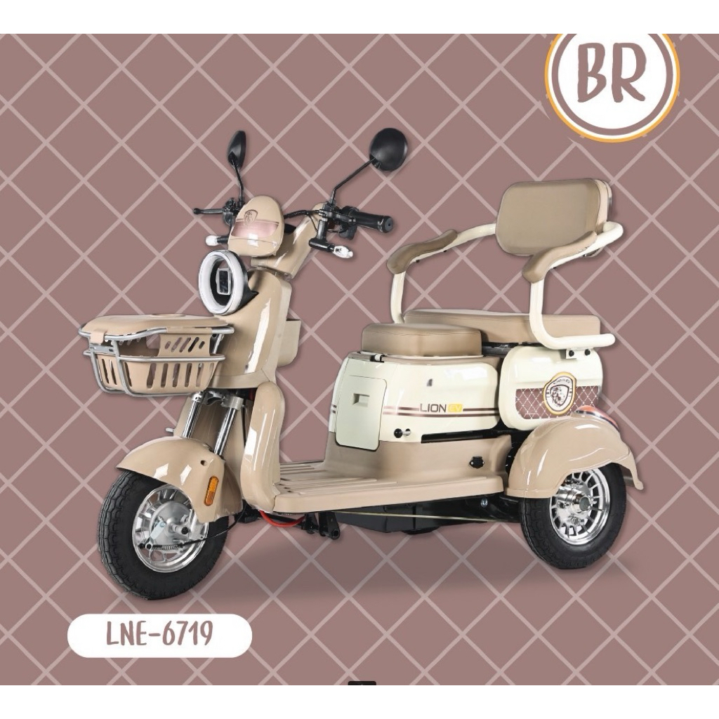 สามล้อไฟฟ้าLION ประกอบ100%โปรดทักแชท