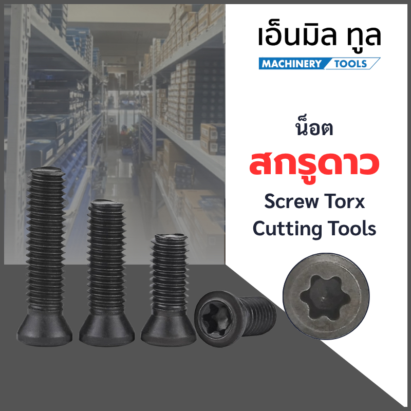 น็อต สกรูดาว - Screw Torx cutting tools