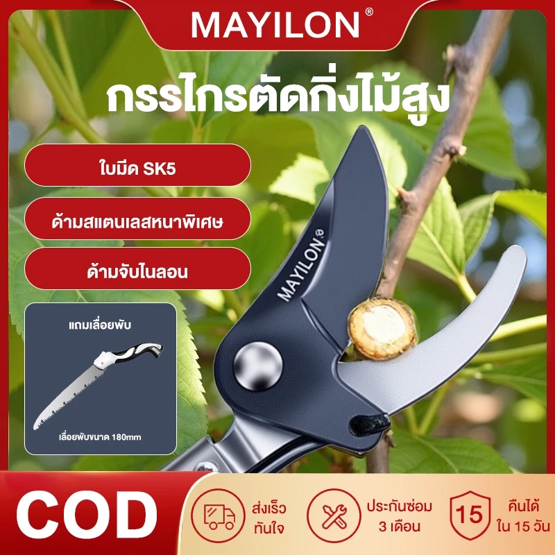 MAYILON กรรไกรเก็บผลไม้ กรรไกรด้ามยาว ด้ามสแตนเลส กรรไกรตัดกิ่งไม้ อุปกรณ์ตัดแต่งกิ่งมืออาชีพ กรรไกรตัดกิ่งด้ามยาว