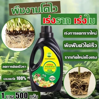 น้ำยาเร่งรากด่วน ปริมาณ 500ml เร่งโต รากเดิน บำรุงดิน ธรรมชาติ น้ำยาเร่งราก B1เร่งรากเห็นผลไว เพิ่มพื้นที่ผิวราก ลดการใช