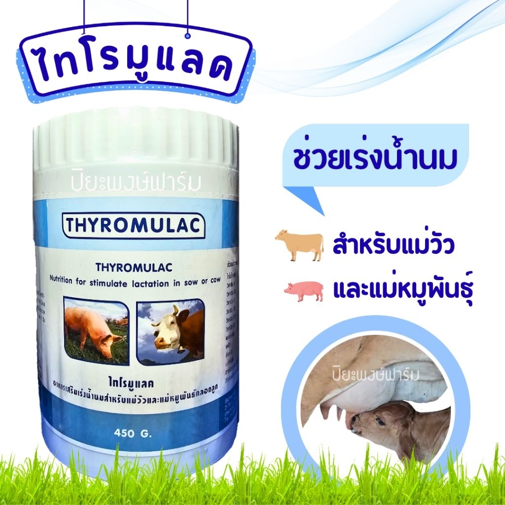 ไทโรมูแลค อาหารเสริมเร่งน้ำนมสำหรับแม่วัว และแม่หมูพันธ์