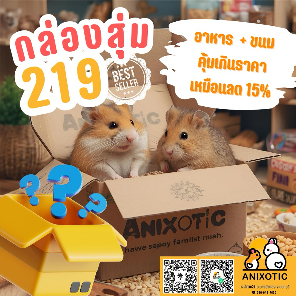 Chef Winston [กล่องสุ่ม]