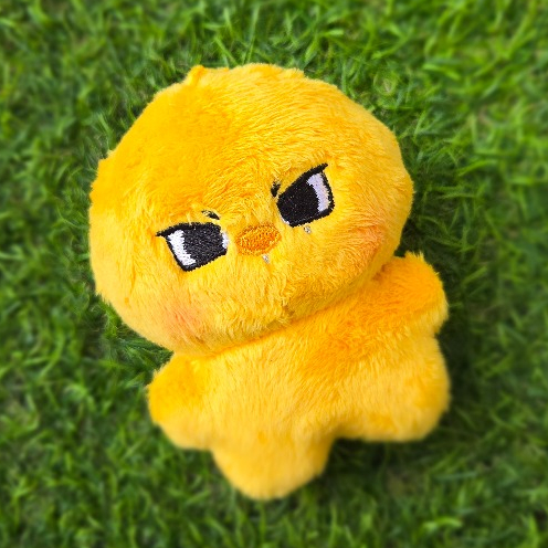 Ddudduki Doll 10 Cm l Ni-Ki doll ตุ๊กตานิกิ ตุ๊กตาEnhypen (พร้อมส่ง)
