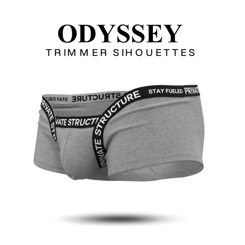 Private Structure รุ่น Essence Odyssey Fundoshi Trunk – Ash Wood Grey [4819]