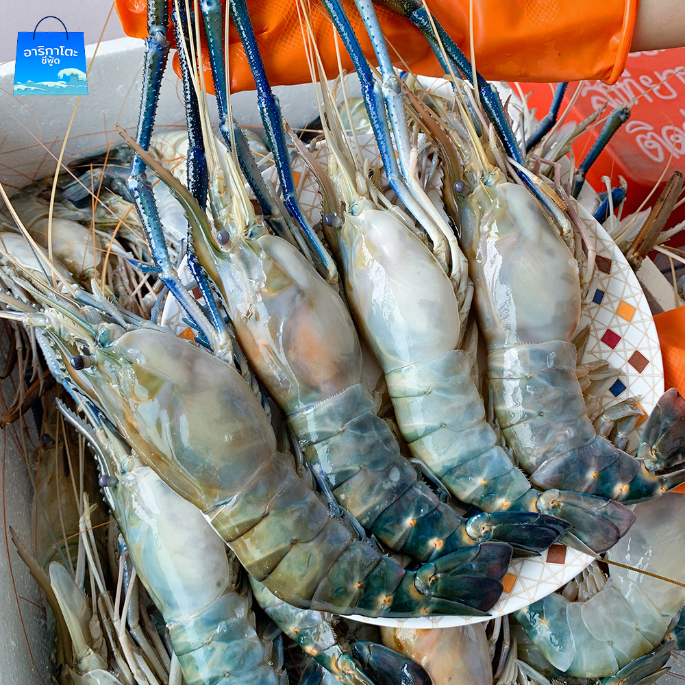 กุ้งแม่น้ำสด มันเยิ้ม ไซส์ใหญ่จุใจ