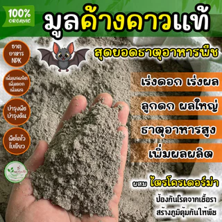 มูลค้างคาว บดละเอียด ขี้ค้างคาว หมักอย่างดีผสมไตรโครเดอร์ม่า ใช้ได้เลยปลอดภัยกับพืช ธาตุอาหารสูงเข้มข้น พร้อมใช้