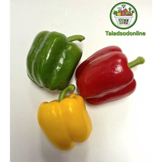 พริกหวานแพค 3 สี สด สะอาด รับประกันคุณภาพ