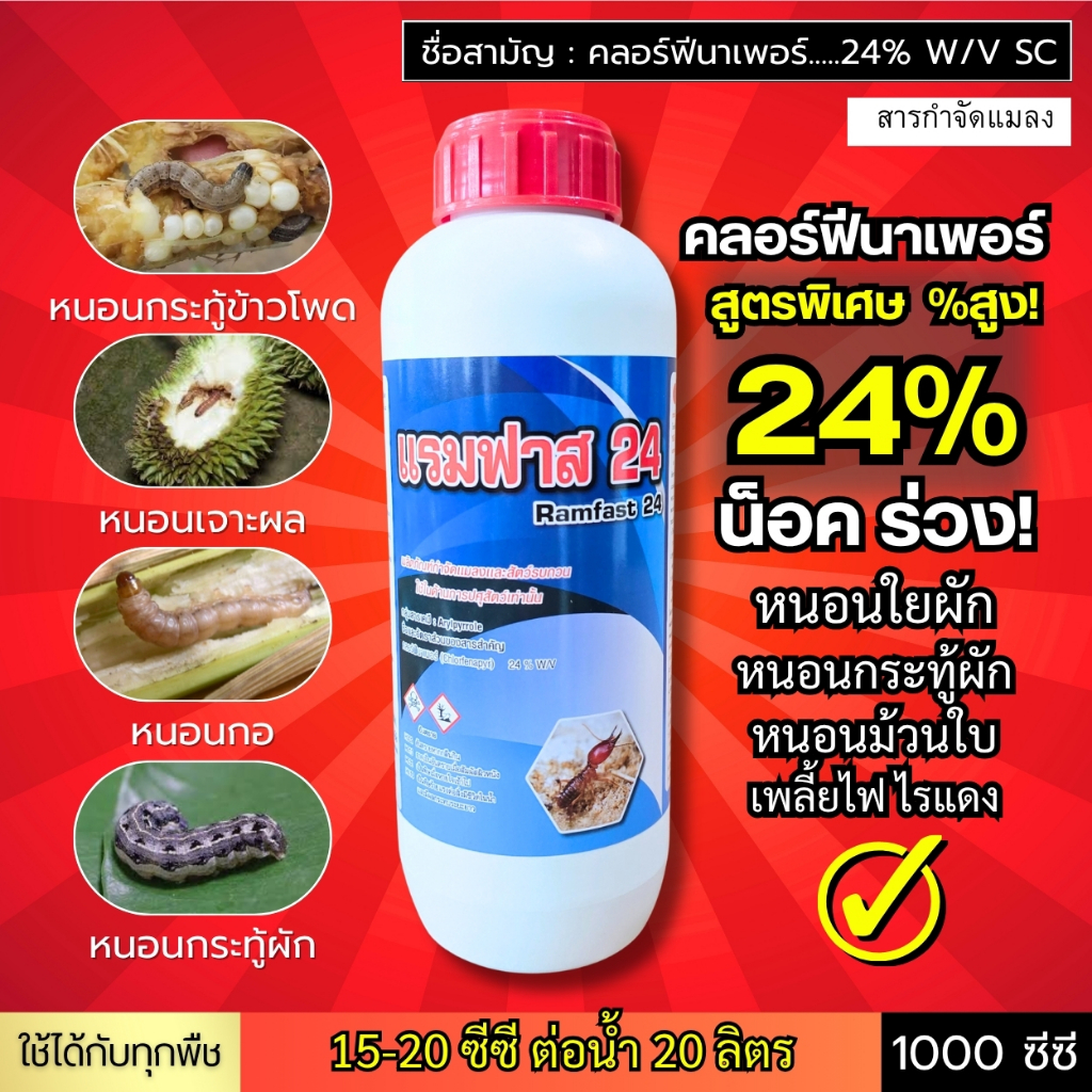 แรมฟาส 24 (คลอฟีนาเพอร์ 24%) หนอนดื้อ หนอนกอ หนอนใบขาว หนอนเจาะผล หนอนกระทู้ข้าวโพด หนอนหนังเหนียว 1 ลิตร