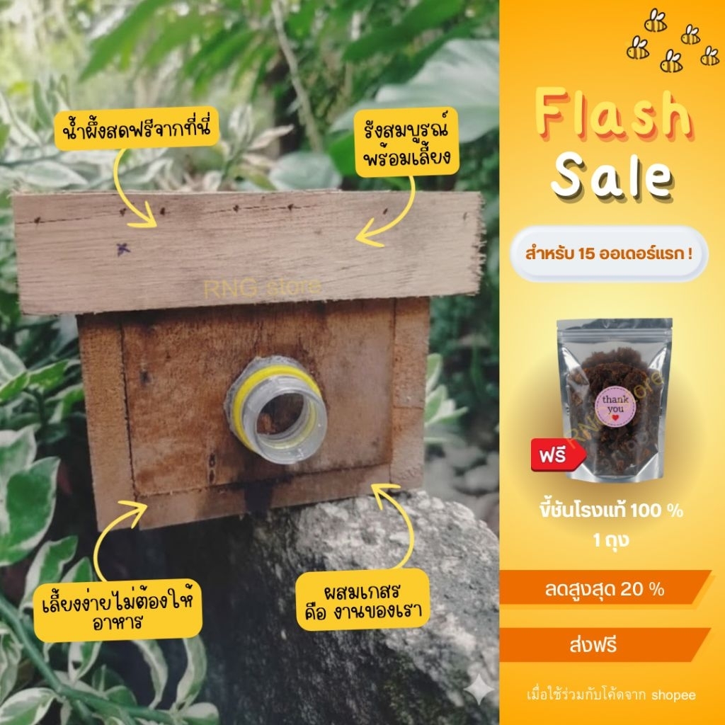 ชันโรงขนเงิน ถ้วยดำ จิ๋ว พร้อมเลี้ยง 🐝 (แถมฟรีขี้ชันโรง)