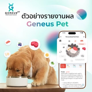 Geneus Pet | Dog DNA ตรวจ DNA สุนัข สายพันธุ์ สุขภาพ พรสวรรค์ นิสัย ภูมิแพ้ โภชนาการอาหาร | 1 กล่อง