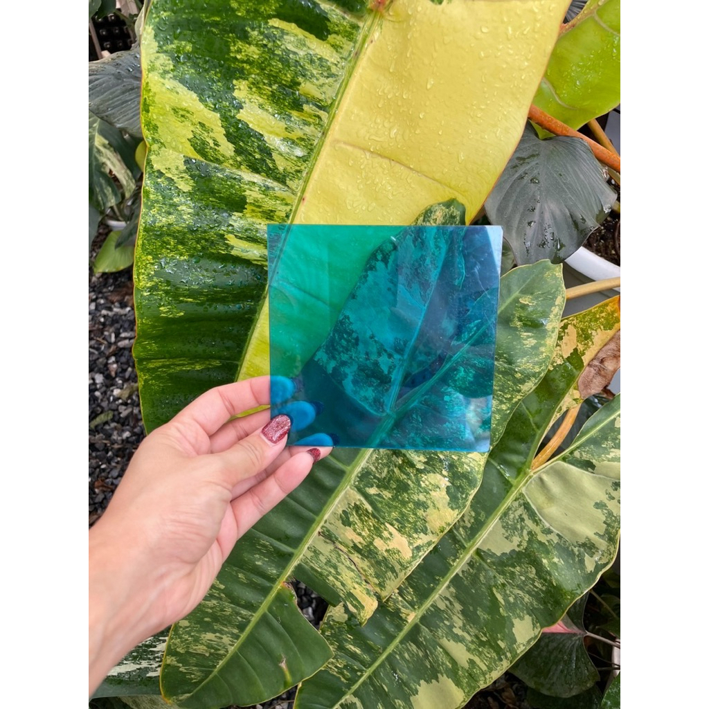 ราคาถูก ! แผ่นโพลีคาร์บอเนต Polycarbonate sheet ขายยกม้วน