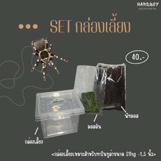 SET กล่องเลี้ยงทารันทูล่า พร้อมอุปกรณ์พื้นฐาน (เหมาะสำหรับไซ…