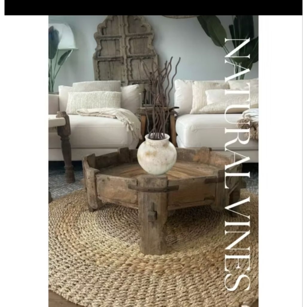 Natural vines(1set of 25 vines+1vase)