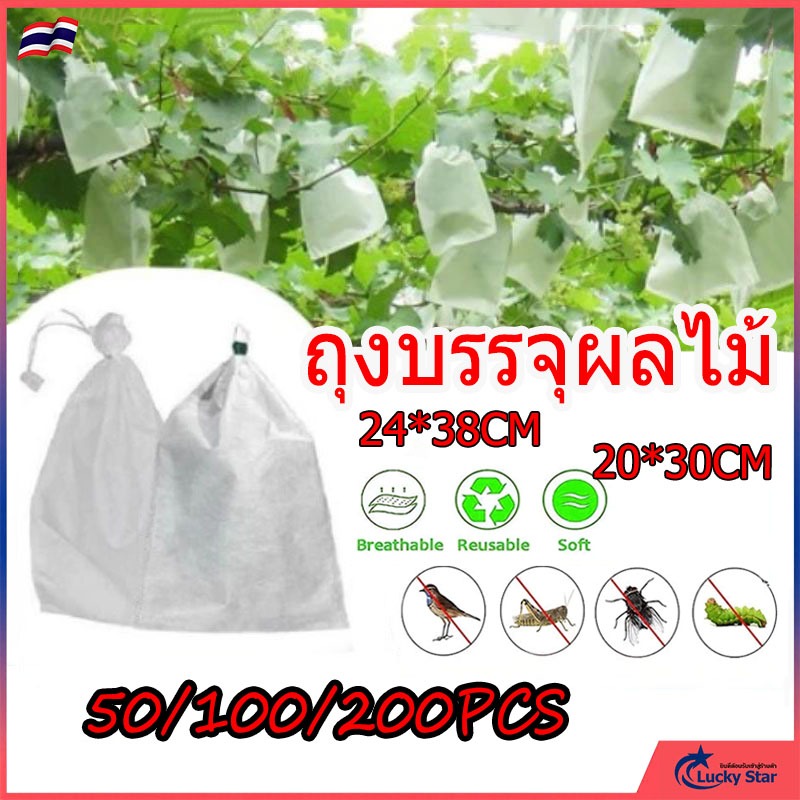ถุงห่อผลไม้ 50/100/200 ใบ กันแมลง แสงแดด สำหรับห่อมะม่วง ฝรั่ง ใช้ซ้ำได้ ไม่มีไอน้ำเกาะ