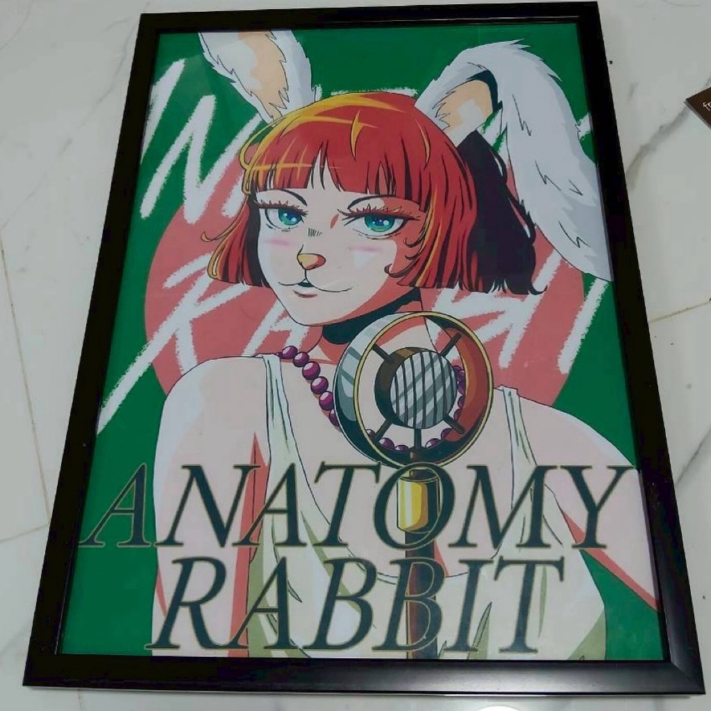 ANATOMY RABBIT [โปสเตอร์สำหรับตกแต่งห้อง]