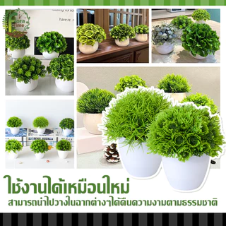 พืชประดิษฐ์ 6 แบบ ต้นไม้ปลอมเดสก์ท็อปเครื่องประดับ กระถาง+ต้นไม้ มีให้เลือกมากมายหลายแบบ ของตกแต่งบ้านและสำนักงาน