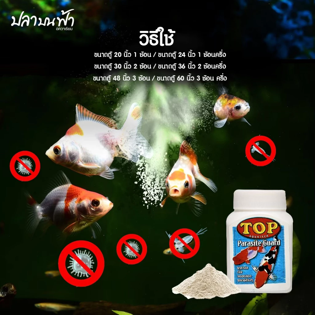 TOP PARASITE GUARD ผลิตภัณฑ์ควบคุมพยาธิภายนอกปลา สำหรับปลาสวยงาม ขนาด 50 กรัม thumbnail 5