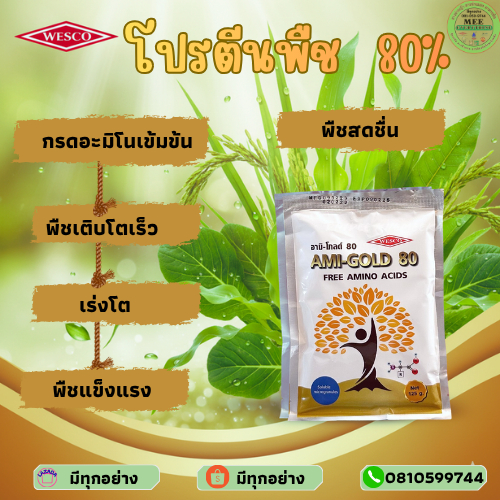 โปรตีนพืช อะมิโนพืช อะมิโนเวสโก้ อะมิโนโกลด์ อะมิโน80 ดูดซึมเร็ว ใช้ได้ทันที ใช้ได้ทุกพืช พืชได้อาหารโปรตีน100% พืชแข็งแ