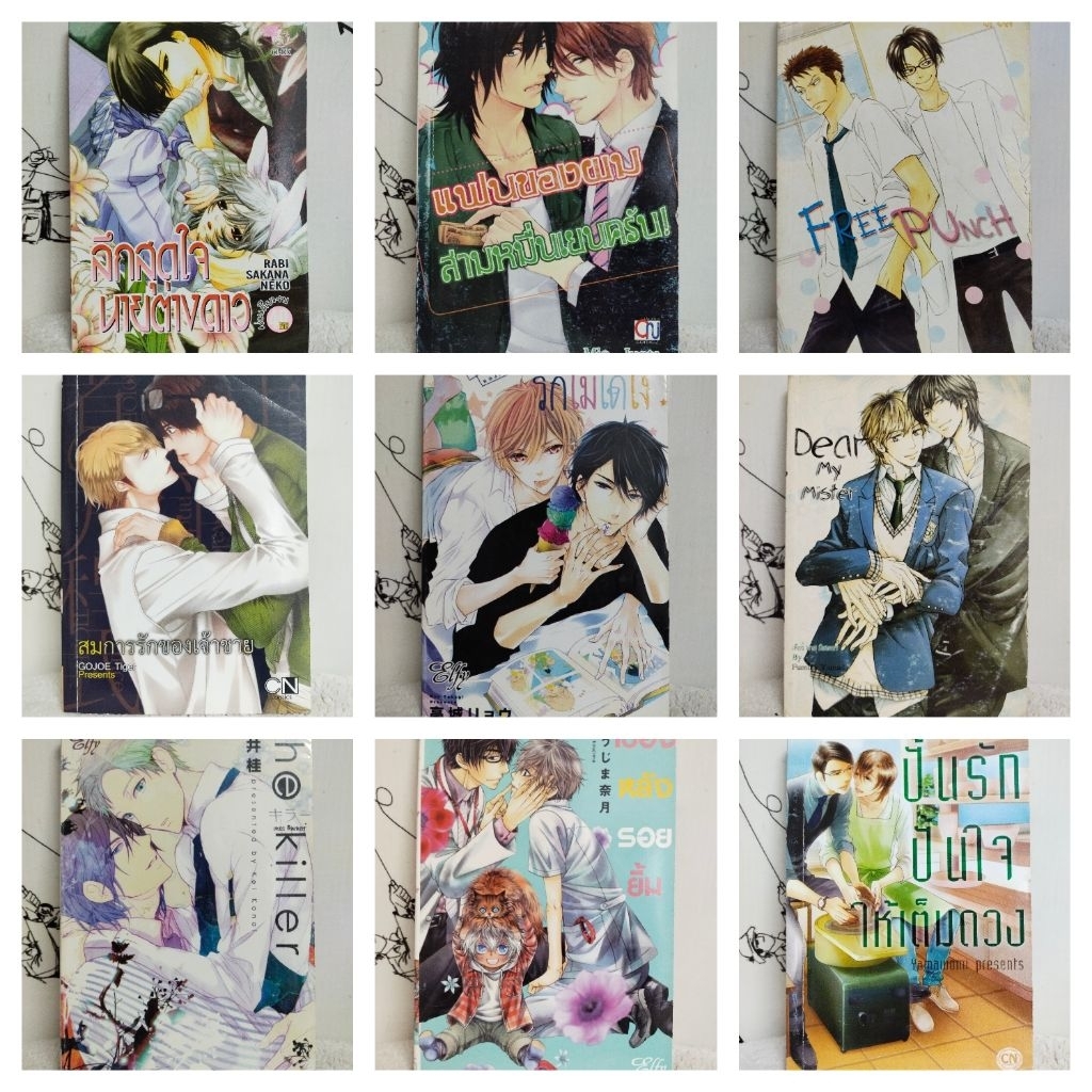 หนังสือการ์ตูน/การ์ตูนมือสอง/การ์ตูนวาย/การ์ตูน y (เล่มเดียวจบ/เศษเล่ม)/หนังสือมือสอง พร้อมส่ง
