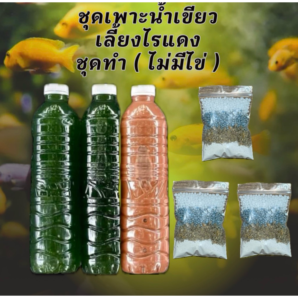 ชุดเพาะน้ำเขียวและปุ๋ย 3 ซอง สูตร60-80ลิตร  อาหารไรแดง หัวเชื้อน้ำเขียวสาหร่ายคอลเรล่า ไรแดงมาโคร ไรแดง ชุดเพาะไรแดง