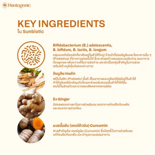 Plantogenic - Sunbiotic โพรไบโอติก และสมุนไพร ขิง ขมิ้น กระชาย ปรับสมดุล ช่วยท้องอืด ไม่ย่อย ไม่เติมน้ำตาล (Plant-based)