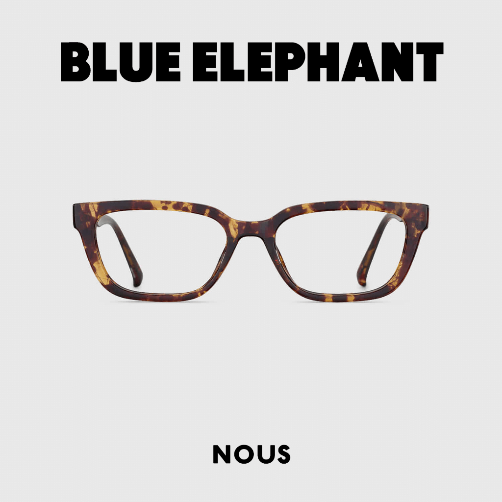 GLASSES FRAME BLUE ELEPHANT - NOUS (Leopard)