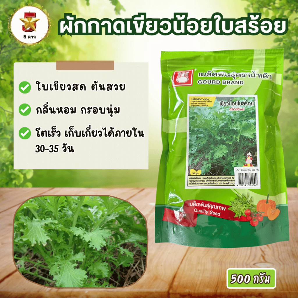 ผักกาดเขียวน้อยใบสร้อย สร้อยทิพย์ 500 กรัม ตราน้ำเต้า ใบเขียวสด สวย กลิ่นหอม กรอบนุ่ม