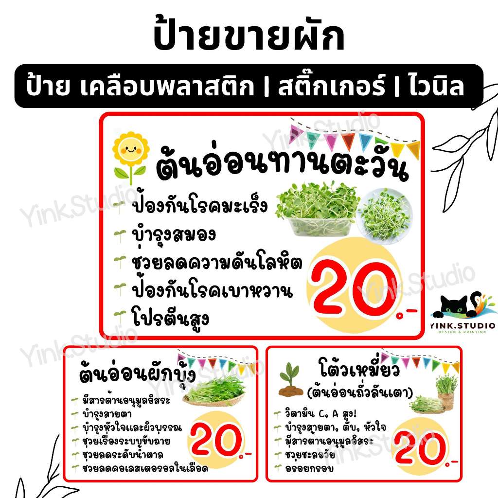 ป้าย ต้นอ่อนทานตะวัน ต้นอ่อนผักบุ้ง ต้นอ่อนถั่วลันเตา ขายผัก แก้ไขราคาฟรี | ป้ายไวนิล | ป้ายเคลือบพลาสติก | สติ๊กเกอร์
