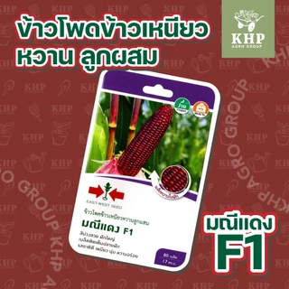 ขายส่ง ยกแพ็ต x 10 ซอง เมล็ดพันธุ์ผักซอง ศรแดง F1 คละชนิดได้ พันธุ์คัดพิเศษ F1- hybrid งอกดี โตไว ผลผลิตสูง
