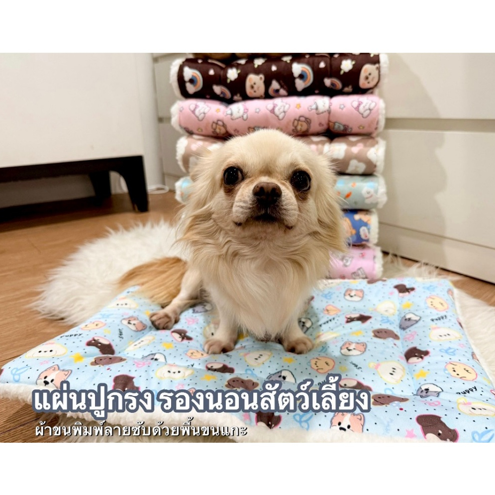 ที่นอนสัตว์เลี้ยง แผ่นปูในรถเข็น แผ่นปูในกรง แผ่นปูในรถ ขนาด #XS เหมาะกับน้ำหนัก 5 กก. นอนได้