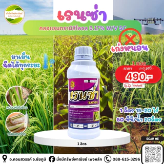 🌾 เรนซ่า 1ลิตร ✨ (สารคลอแรนทรานิลิโพรล สูตรพรีเมี่ยม) เก่งหนอนกอ หนอนเจาะคอรวง หนอนใบขาว หนอนทุกชนิด 1ขวด 15-20 ไร่