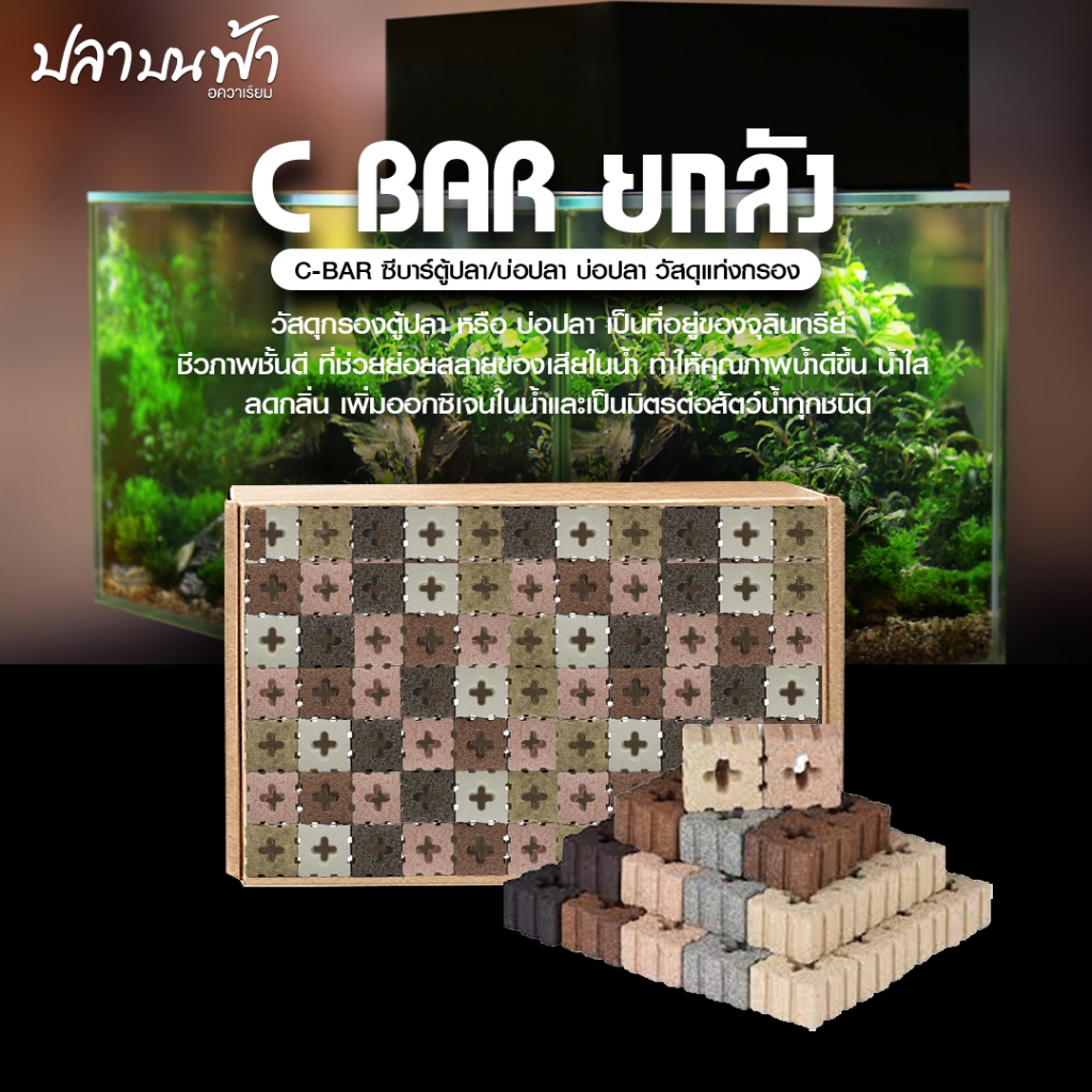 C-box (ยกลัง 184 ชิ้น) เซรามิคหลี่ยมแปดร่อง 5 สี รุ่นอัพเกรด วัสดุกรองตู้ปลาคุณภาพสูงใช้ได้ยาวนาน ขนาด 4.5*4.5*3 cm.