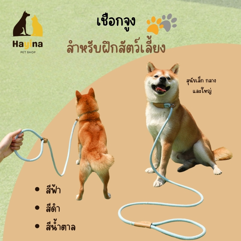 (พร้อมส่ง🇹🇭) เชือกจูงสัตว์เลี้ยงแบบสวมคอ ใช้งานง่าย ใส่-ถอดเร็ว เหมาะสำหรับสุนัข แมว
