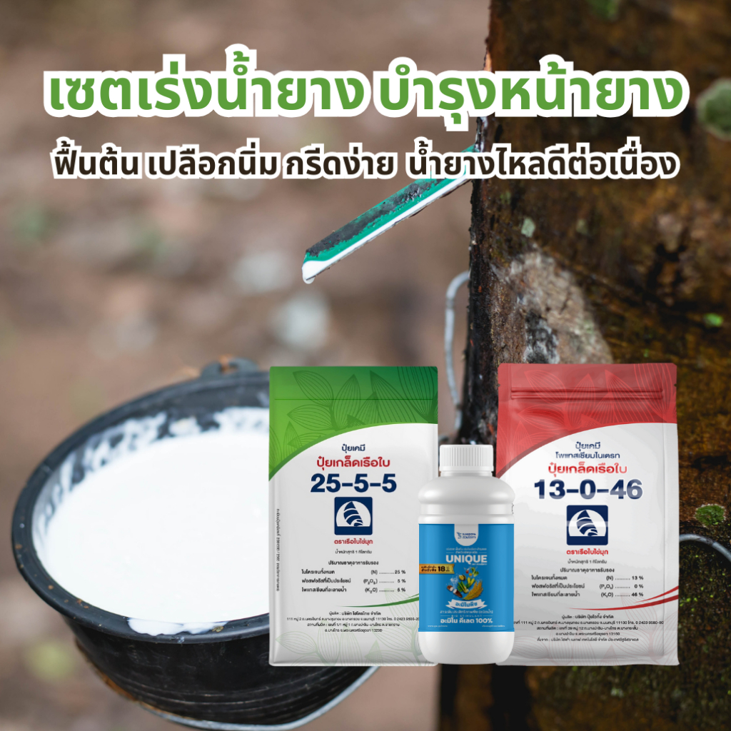 ️ เซตเร่งน้ำยาง ปุ๋ยเกล็ดเรือใบ 25-5-5 1 กก. อะมิโนพืชคีเลต 500มล. ปุ๋ยเกล็ดเรือใบ 13-0-46 1 กก. บำร
