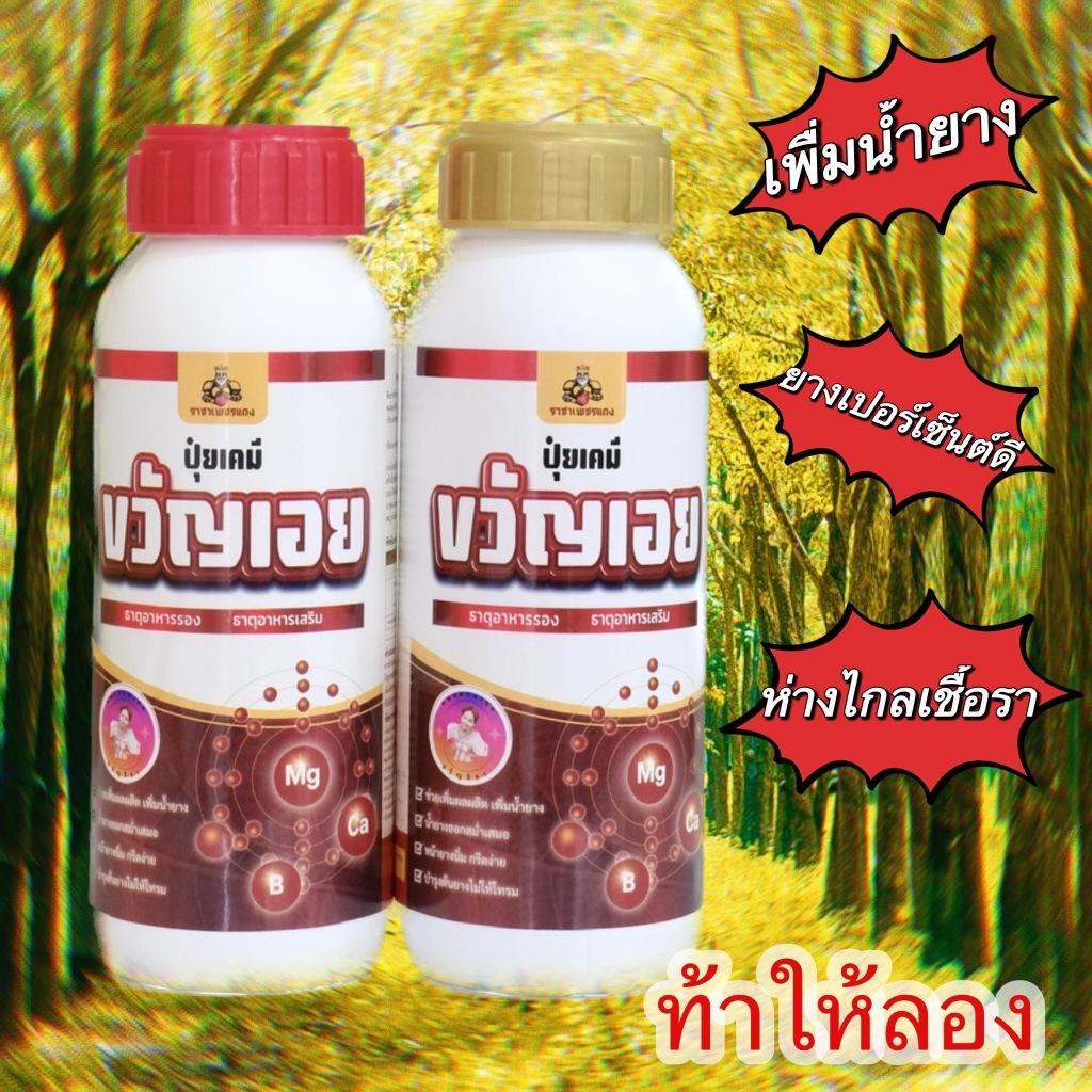 ยาทาหน้ายาง (ขวัญเอย) ปุ๋ยทาหน้ายางพรีเมี่ยม มี 2 ตัวเลือก ธาตุอาหารเสริม เพิ่มน้ำยางและรักษายางตายนึ่ง ยืดอายุต้นยาง