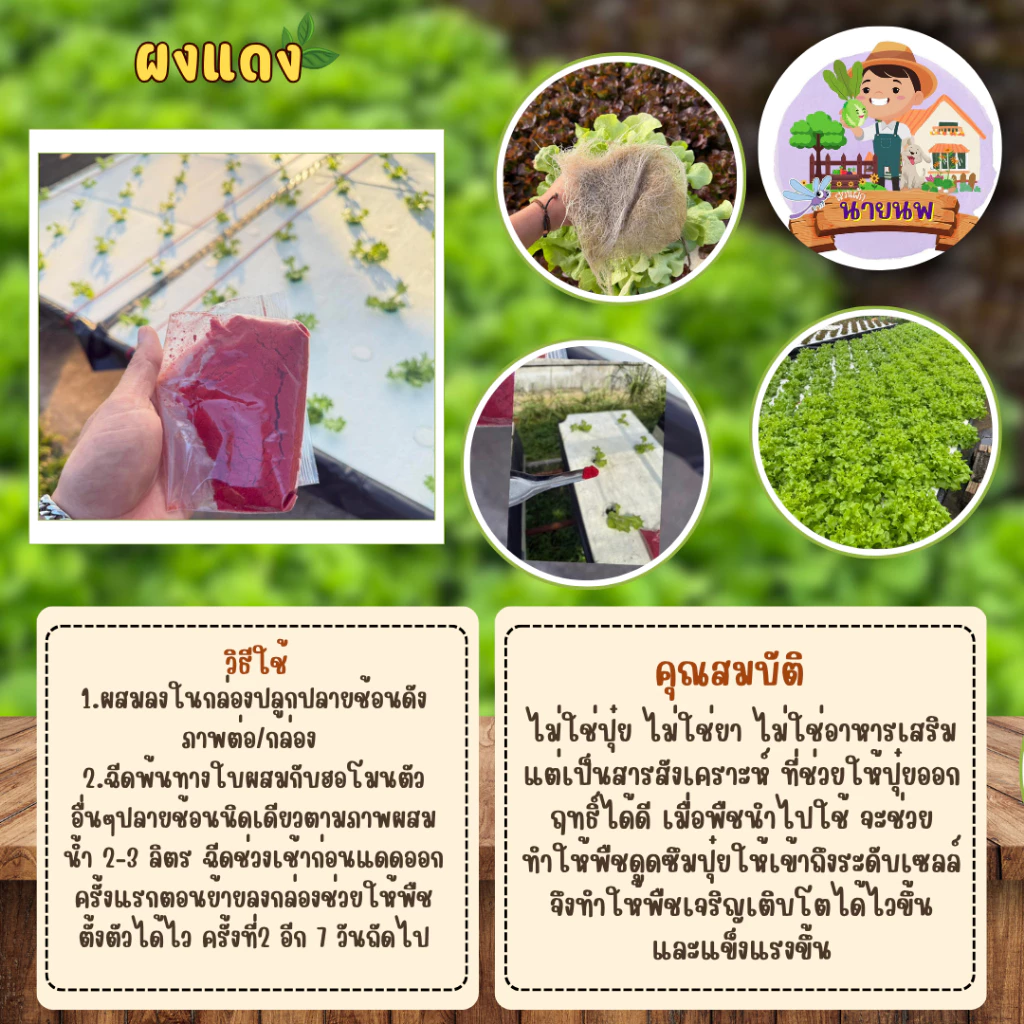 ผงแดง ตัวช่วยให้ปุ๋ยทำงานได้ดียิ่งขึ้น ขนาด 100 กรัม