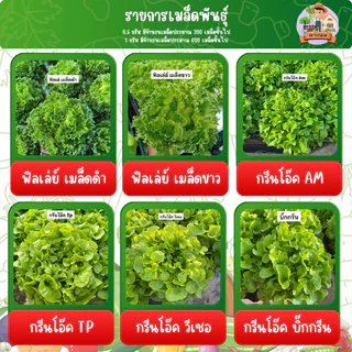 เมล็ดผัก ปลูกแบบไฮโดรโปรนิกส์ โตเร็วแข็งแรง ขนาด 1 กรัม