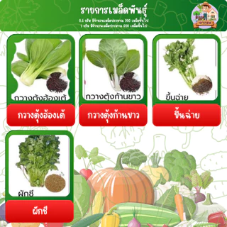 เมล็ดผัก ปลูกแบบไฮโดรโปรนิกส์ โตเร็วแข็งแรง ขนาด 1 กรัม