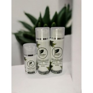 น้ำมันนวดไพรจันท์โลชั่นสปาชาขาว ขนาด 120กรัม จำนวน 2 ขวด ขนา…