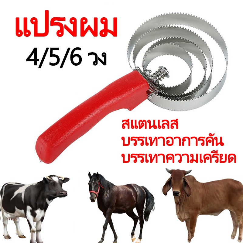 แปรงขนวัว แปรงเกาขนวัว 4/5/6 วง ขุดเห็บวัว แก้คัน ผ่อนความเครียด แปรงขนแกะ แปรงขนม้า สแตนเลส