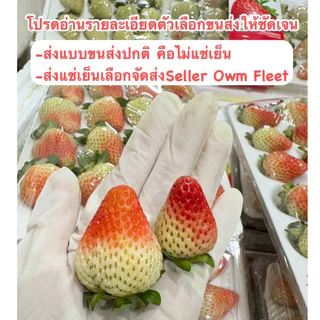 สตรอเบอรี่สด นำเข้าจากจีน สายพันธุ์เกาหลี ขนาดกำลังดี แพ็คละ20-24ลูก อ่านรายละเอียดก่อนกดสั่ง