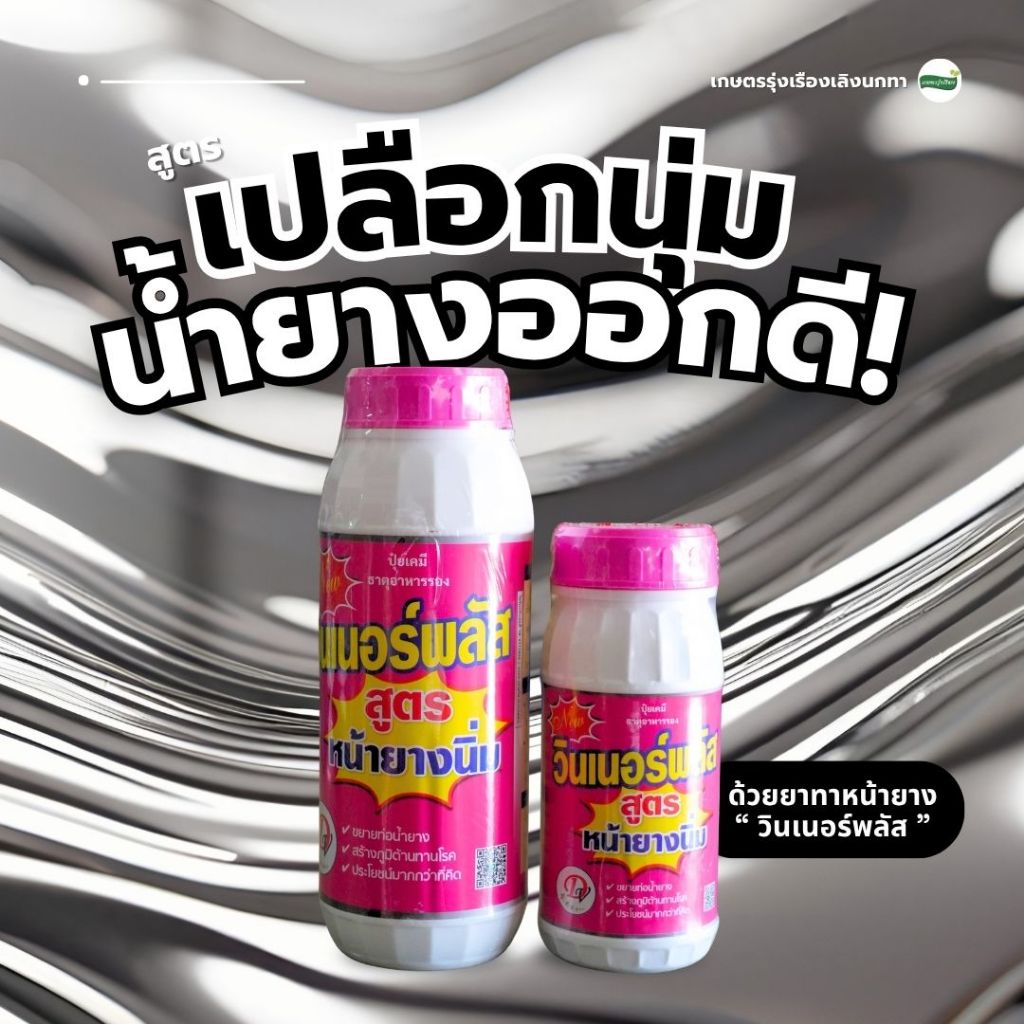 ยาทาหน้ายาง วินเนอร์พลัส (ช่วยขยายท่อน้ำยาง รักษารอยเเผลกรีดเข้าเเกน ช่วยให้เปลือกยางนุ่ม กรีดง่าย)