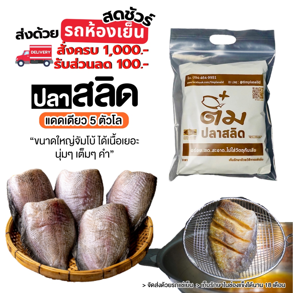 ปลาสลิดแดดเดียว ขนาดใหญ่สุด 5 ตัวโล (ดิบ) ++ส่งรถแช่เย็น++ 1 กิโลกรัม
